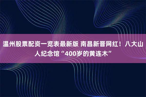 温州股票配资一览表最新版 南昌新晋网红！八大山人纪念馆“400岁的黄连木”
