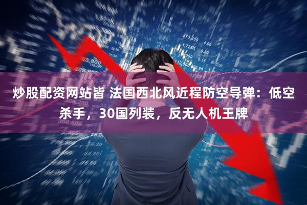 炒股配资网站皆 法国西北风近程防空导弹：低空杀手，30国列装，反无人机王牌