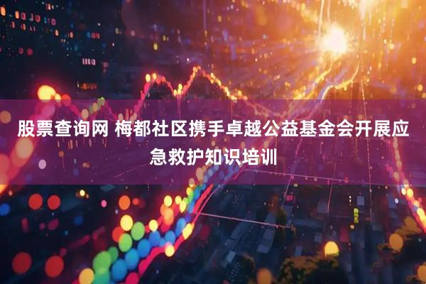 股票查询网 梅都社区携手卓越公益基金会开展应急救护知识培训
